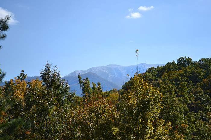 Mountain High Villa Gatlinburg Dış mekan fotoğraf