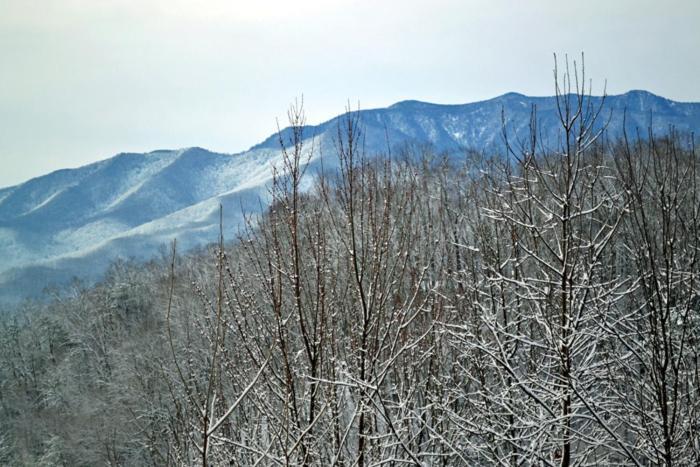 Mountain High Villa Gatlinburg Dış mekan fotoğraf